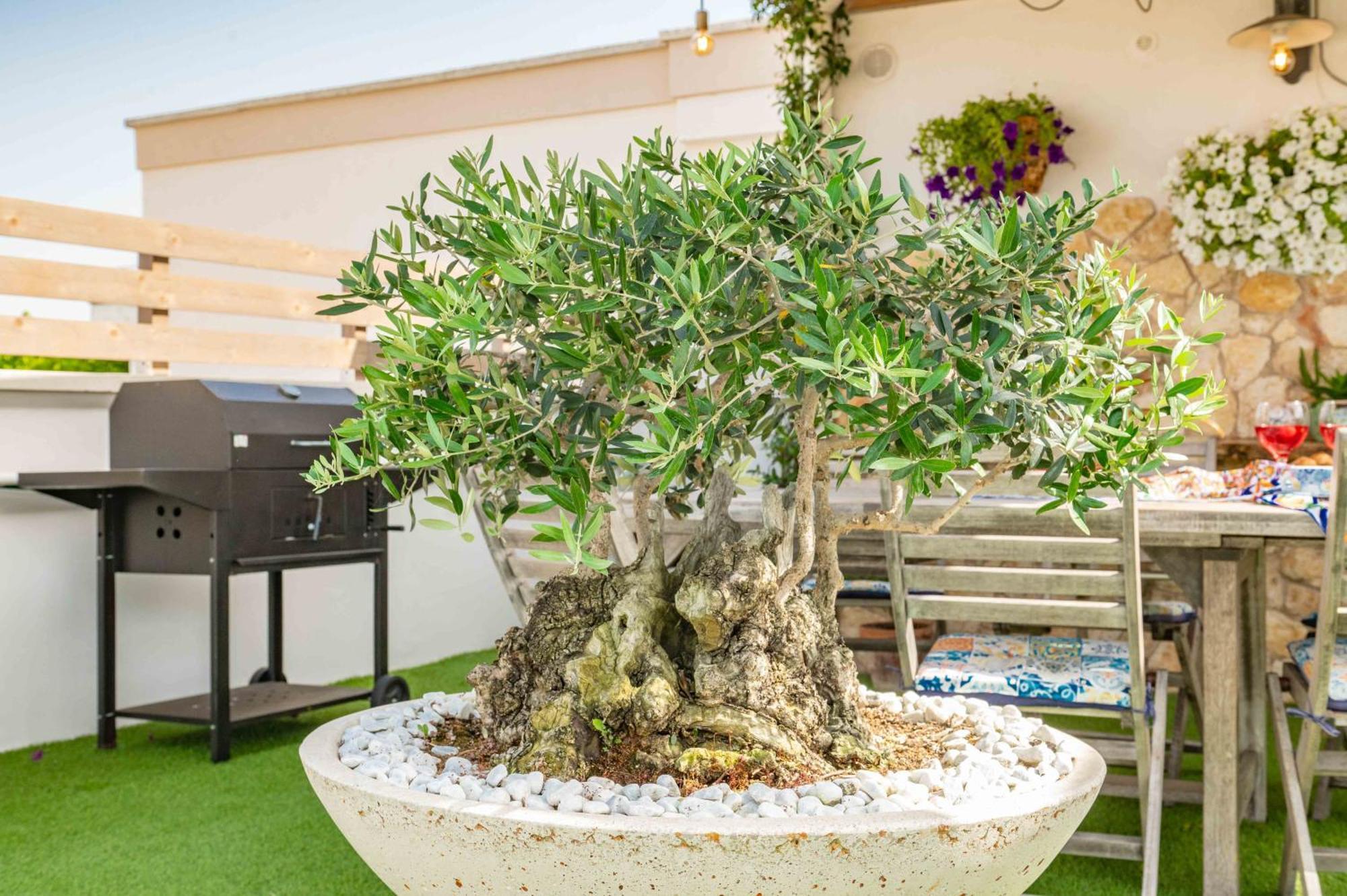 Il Panoramico Villa Neviano ภายนอก รูปภาพ